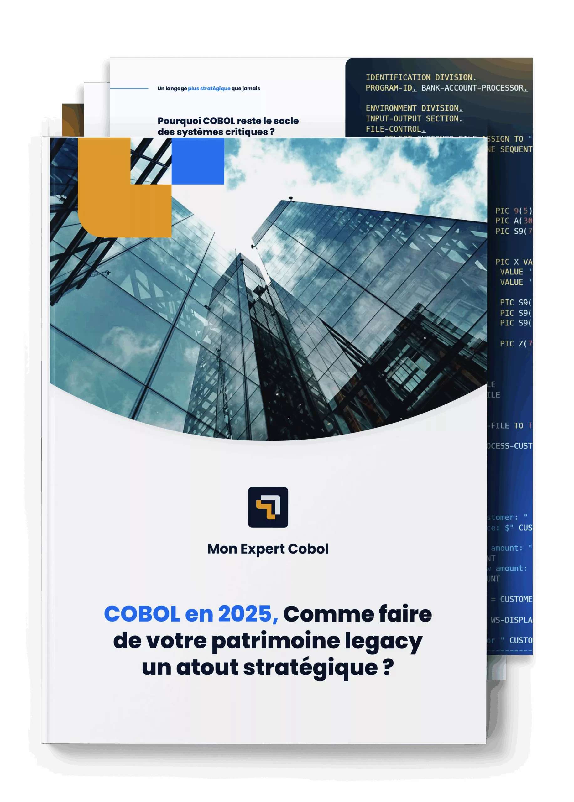 livre-blanc-2